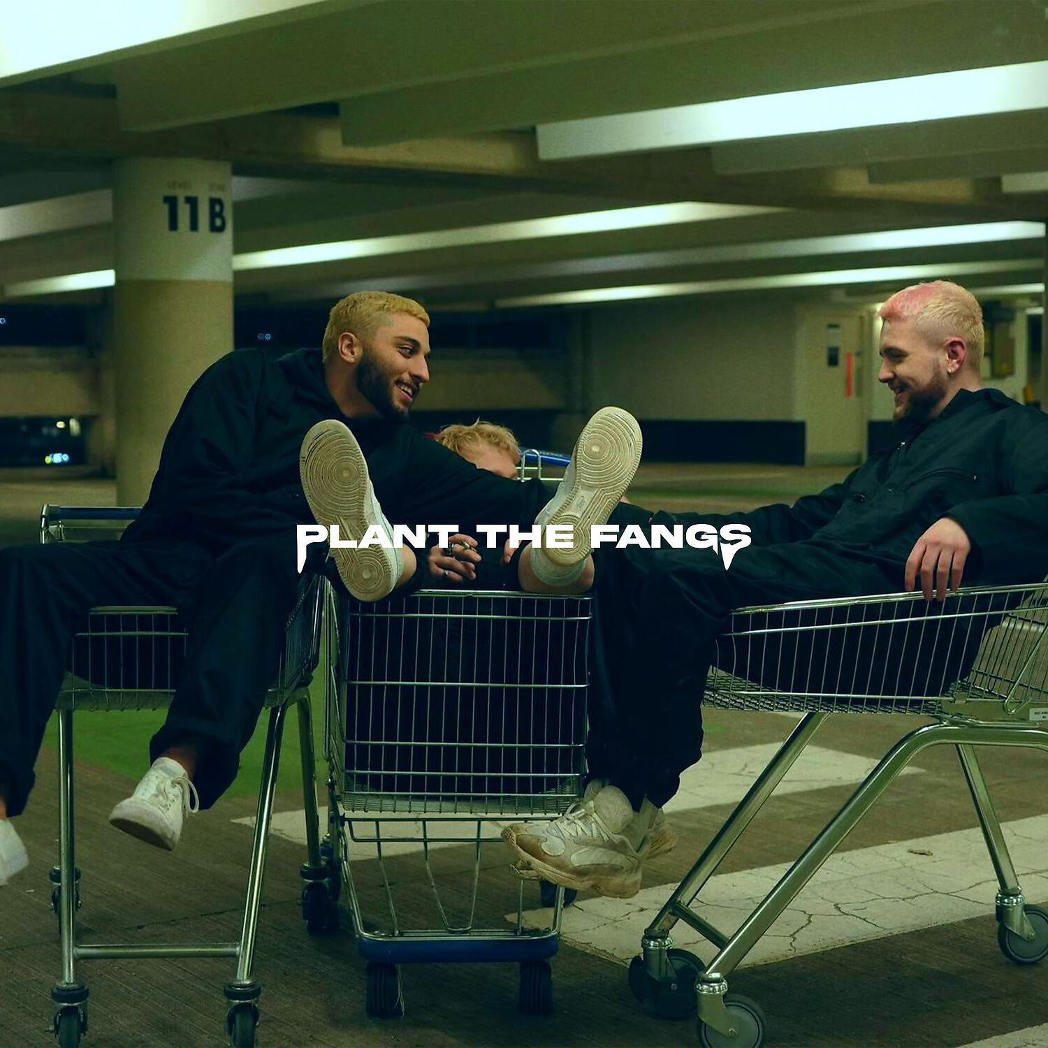 Постер альбома PLANT THE FANGS