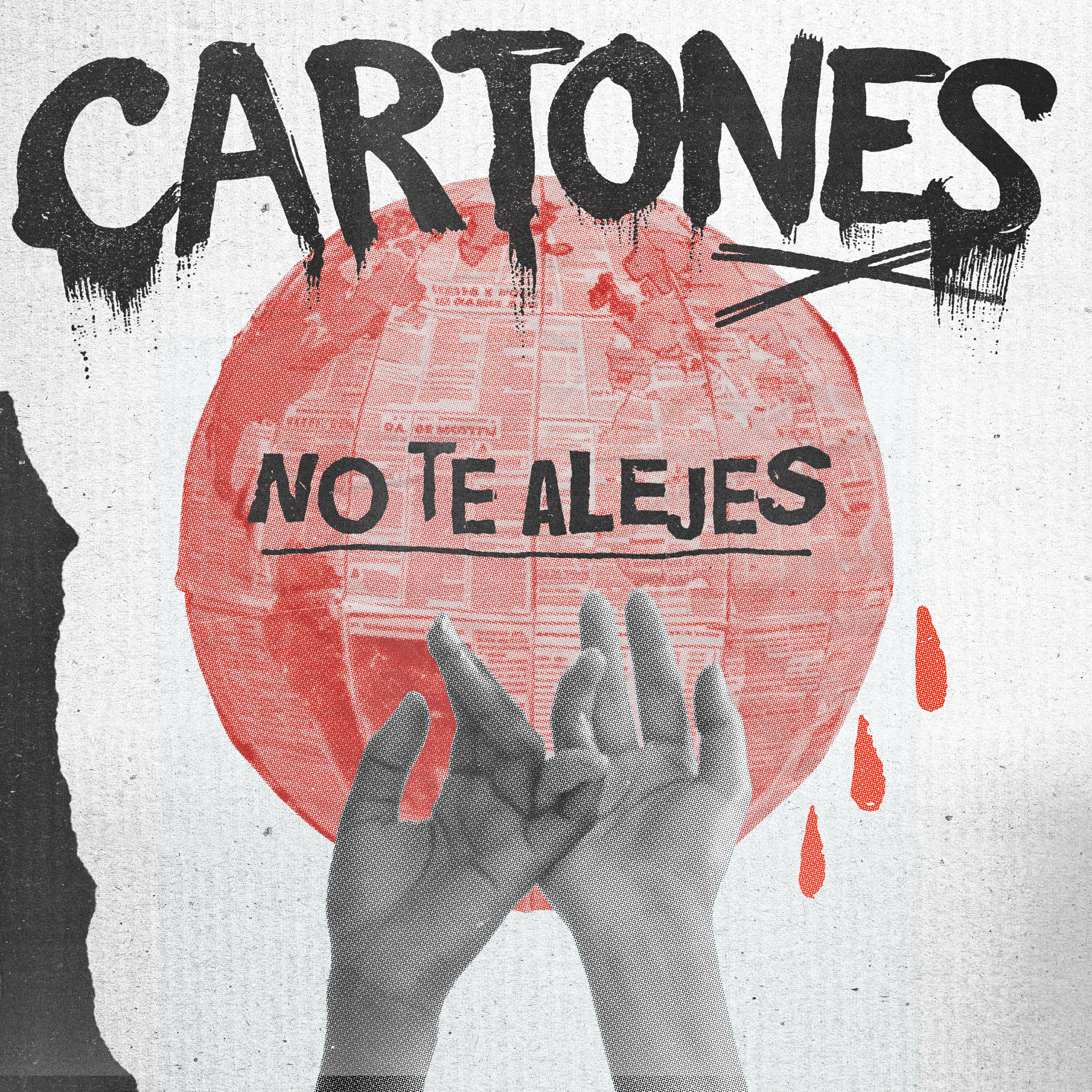 Cartones