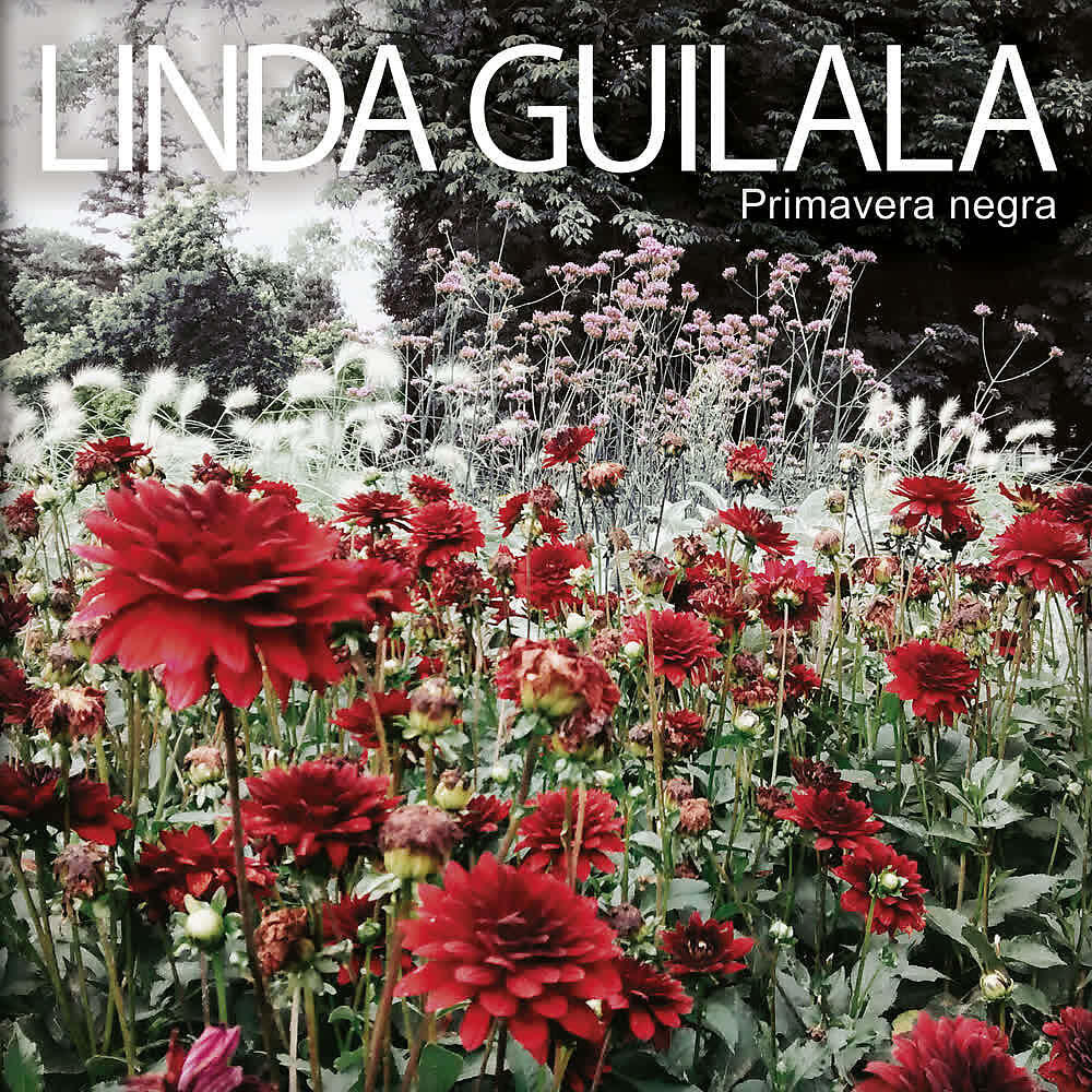 Релиз Primavera Negra
