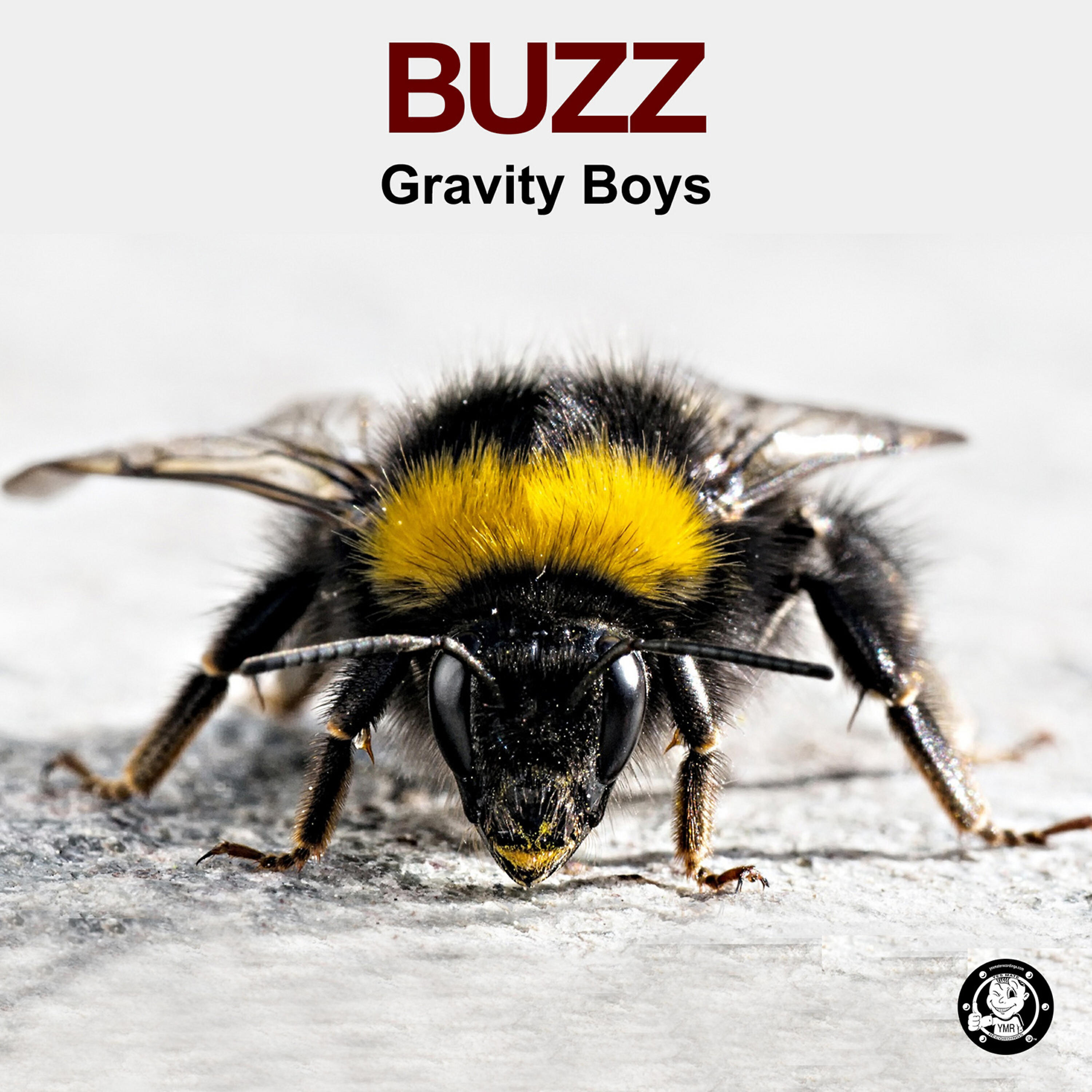 Релиз Buzz