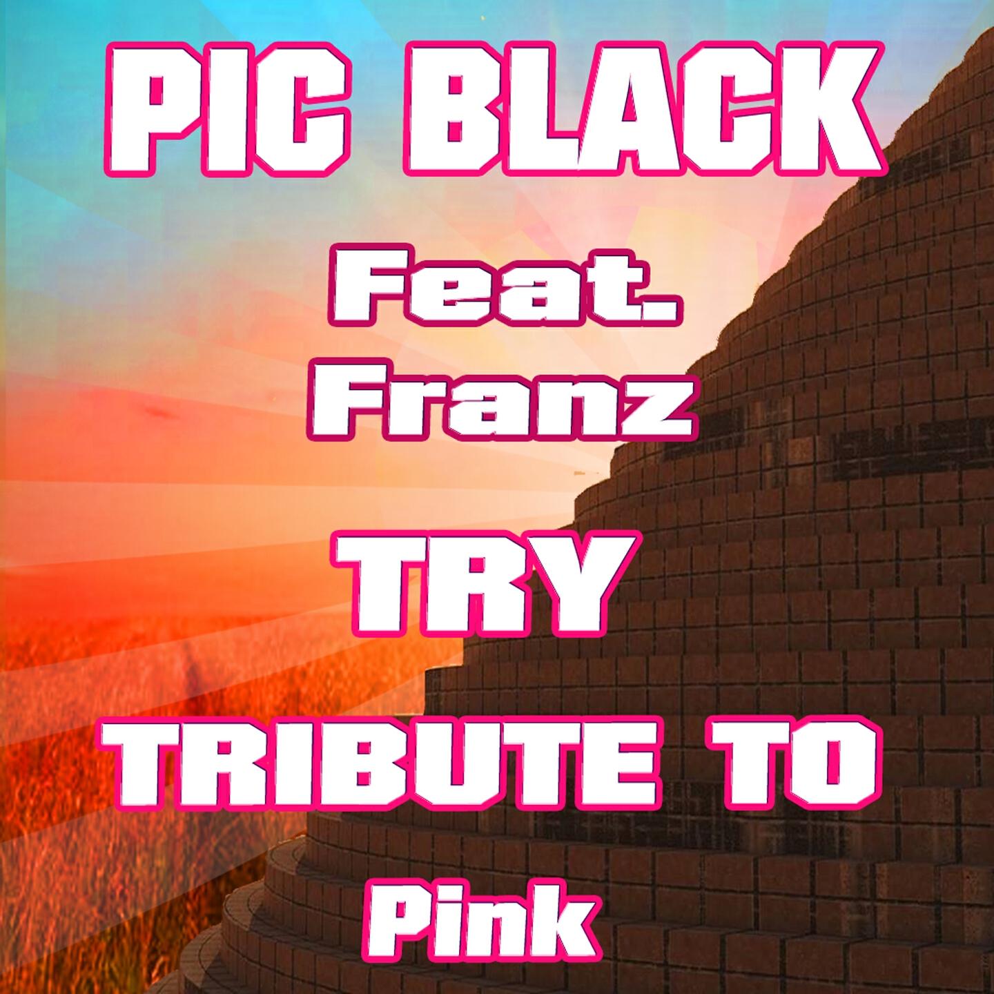 Релиз Try: Tribute to Pink