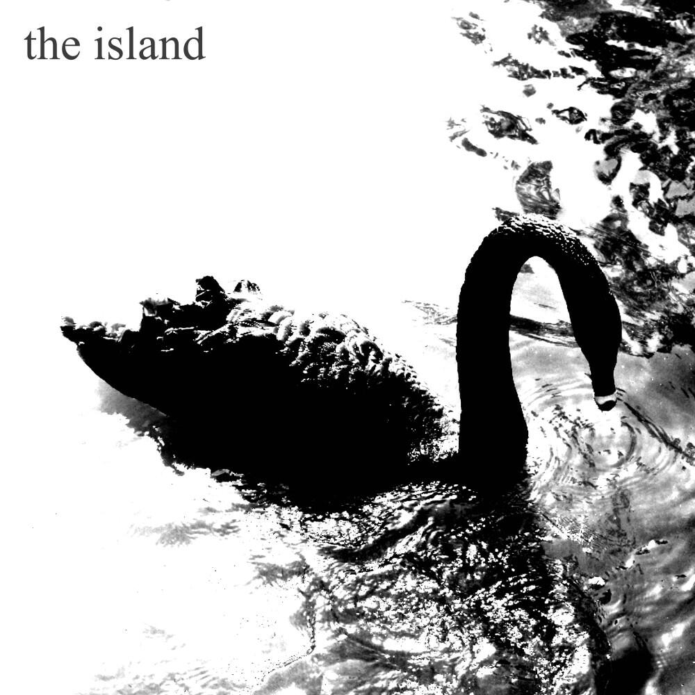 Релиз Swan
