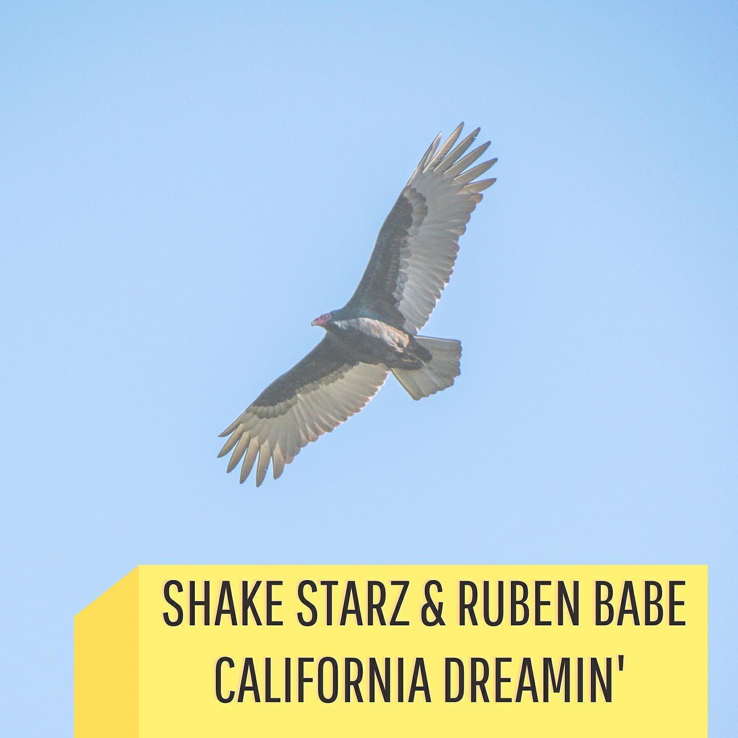 Shake Starz