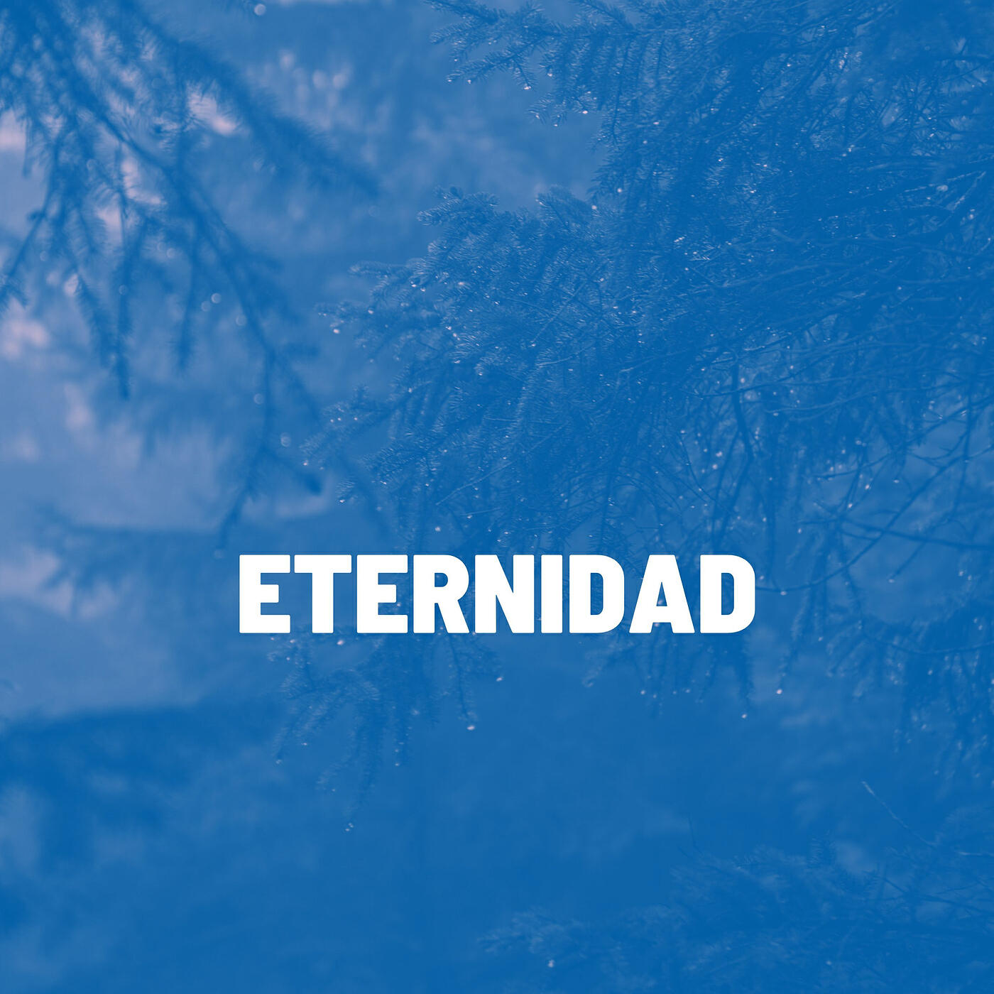 Релиз Eternidad