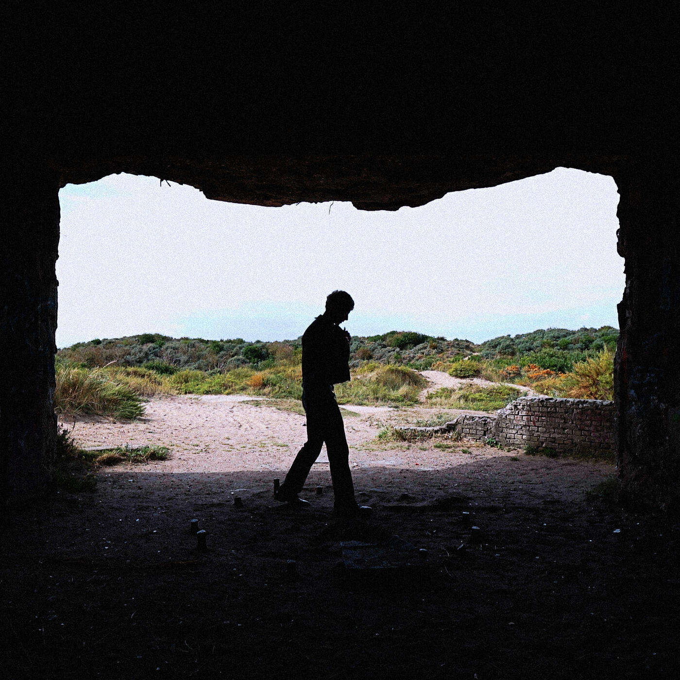 Релиз Treibsand