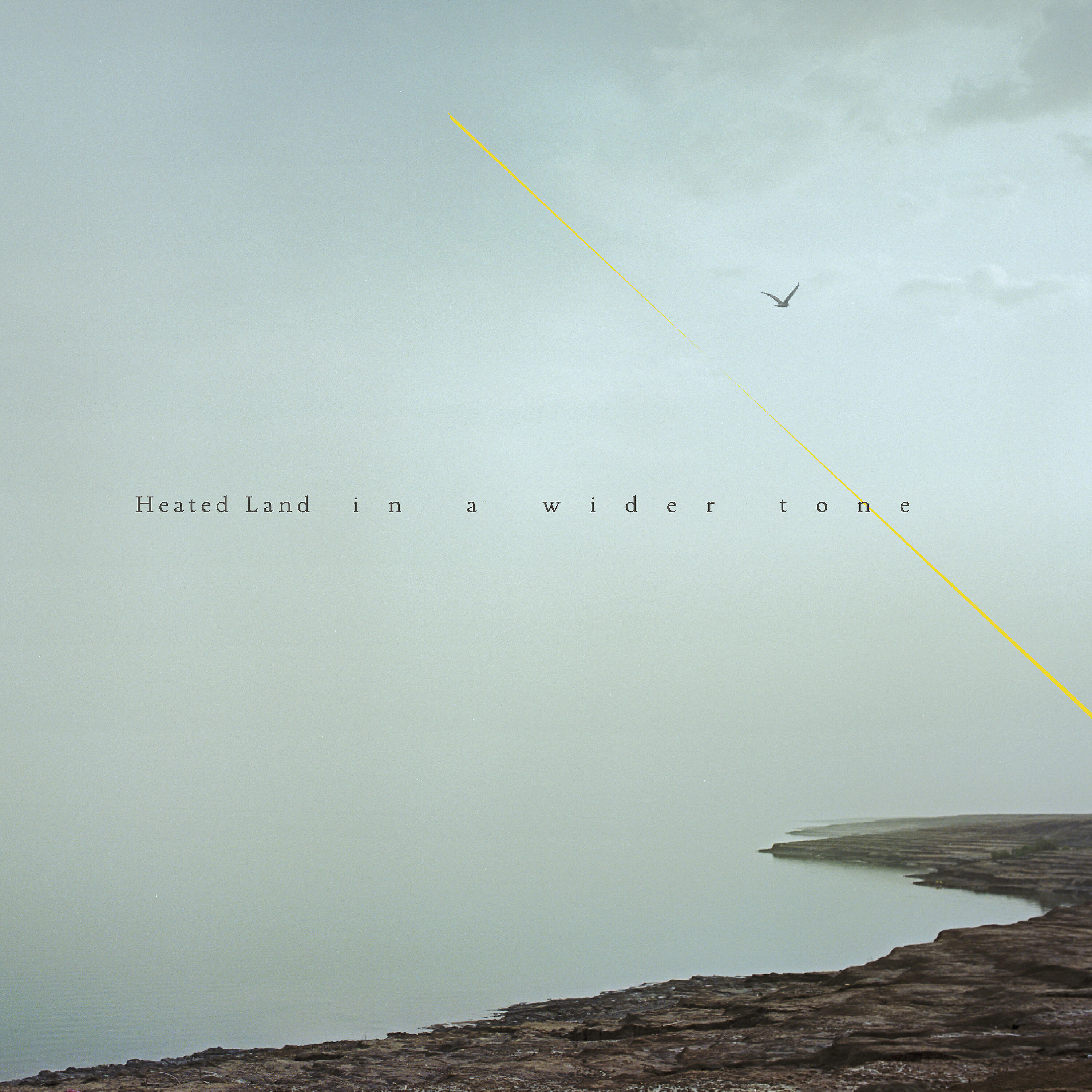 Релиз In a Wider Tone