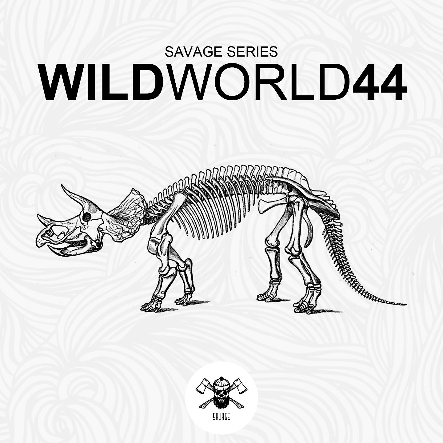 Релиз WildWorld44