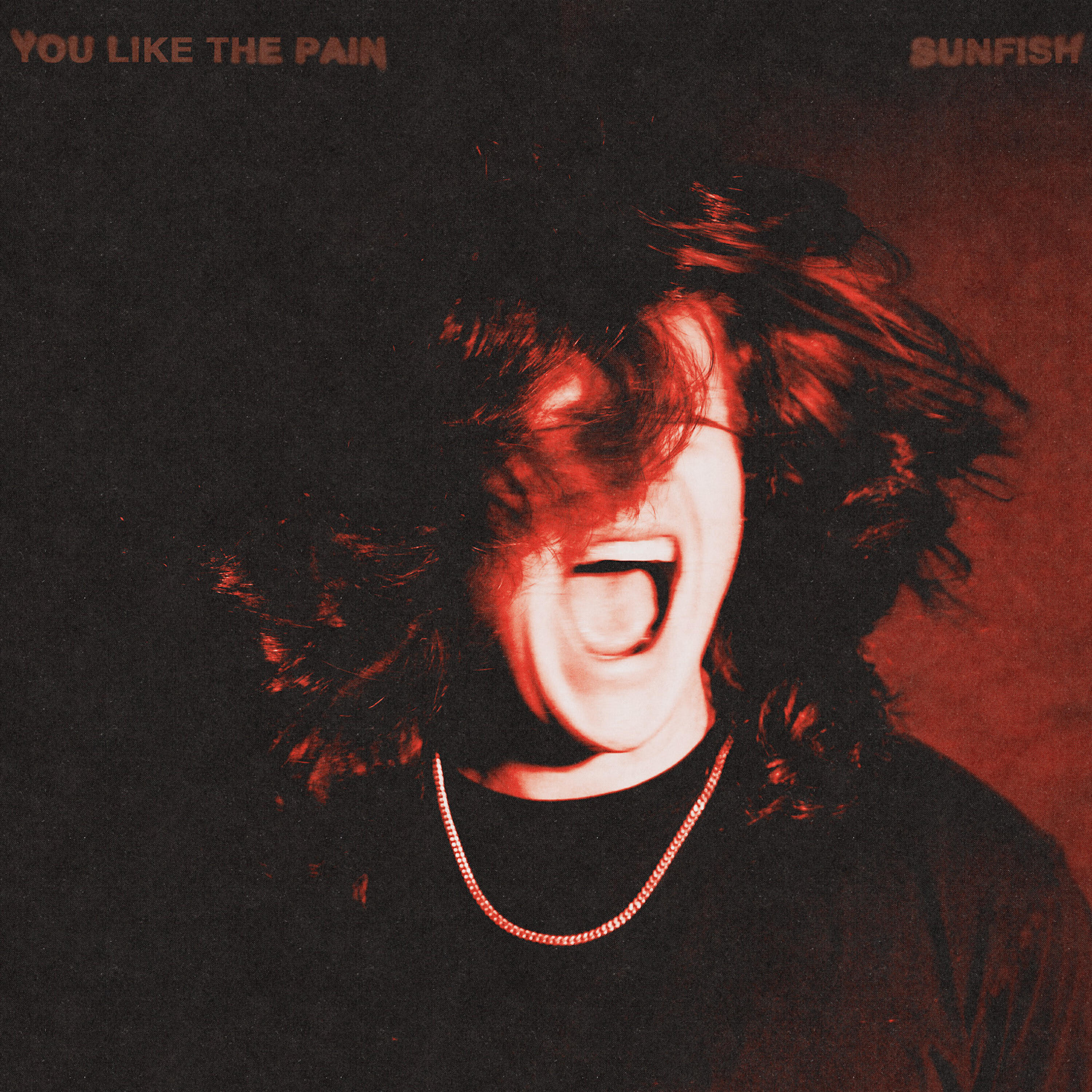 Релиз You Like The Pain