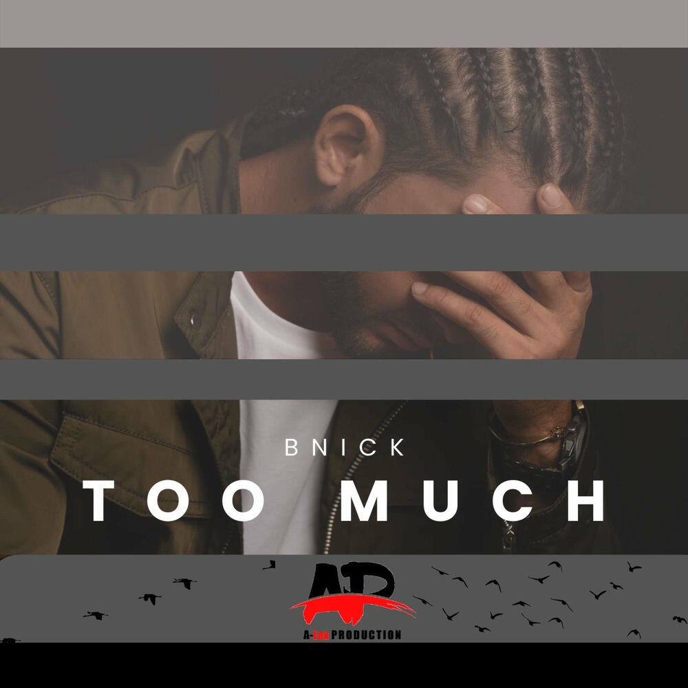 Релиз Too Much