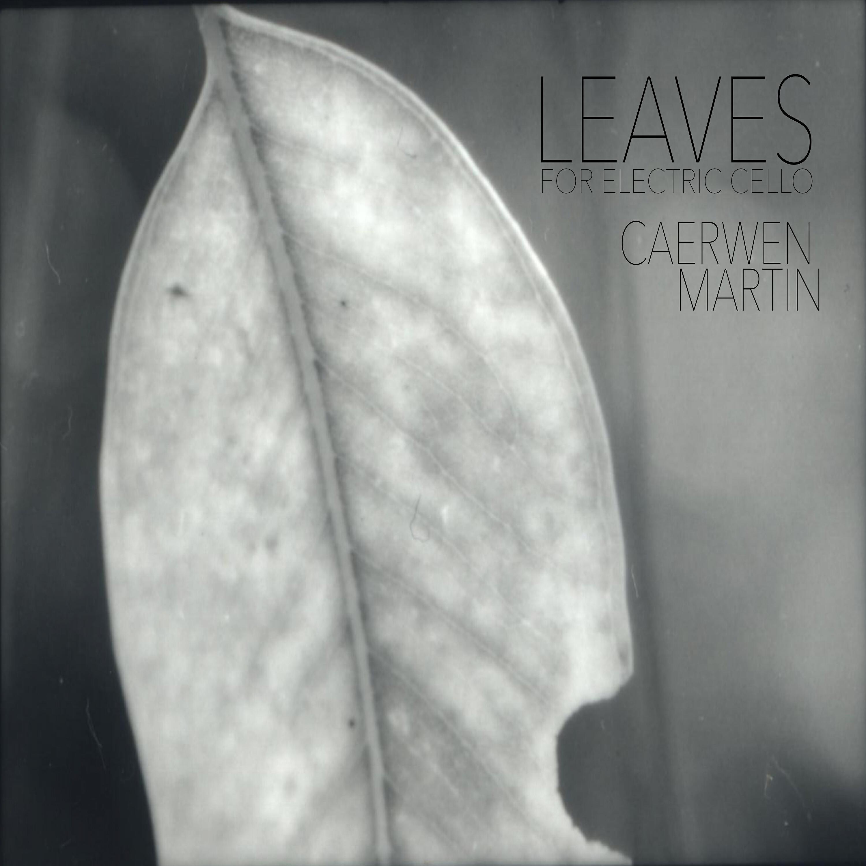 Релиз Leaves for Electric Cello