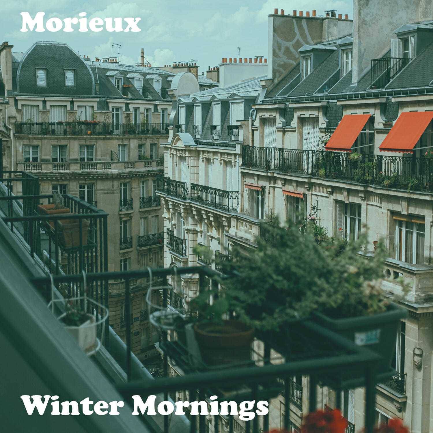 Morieux