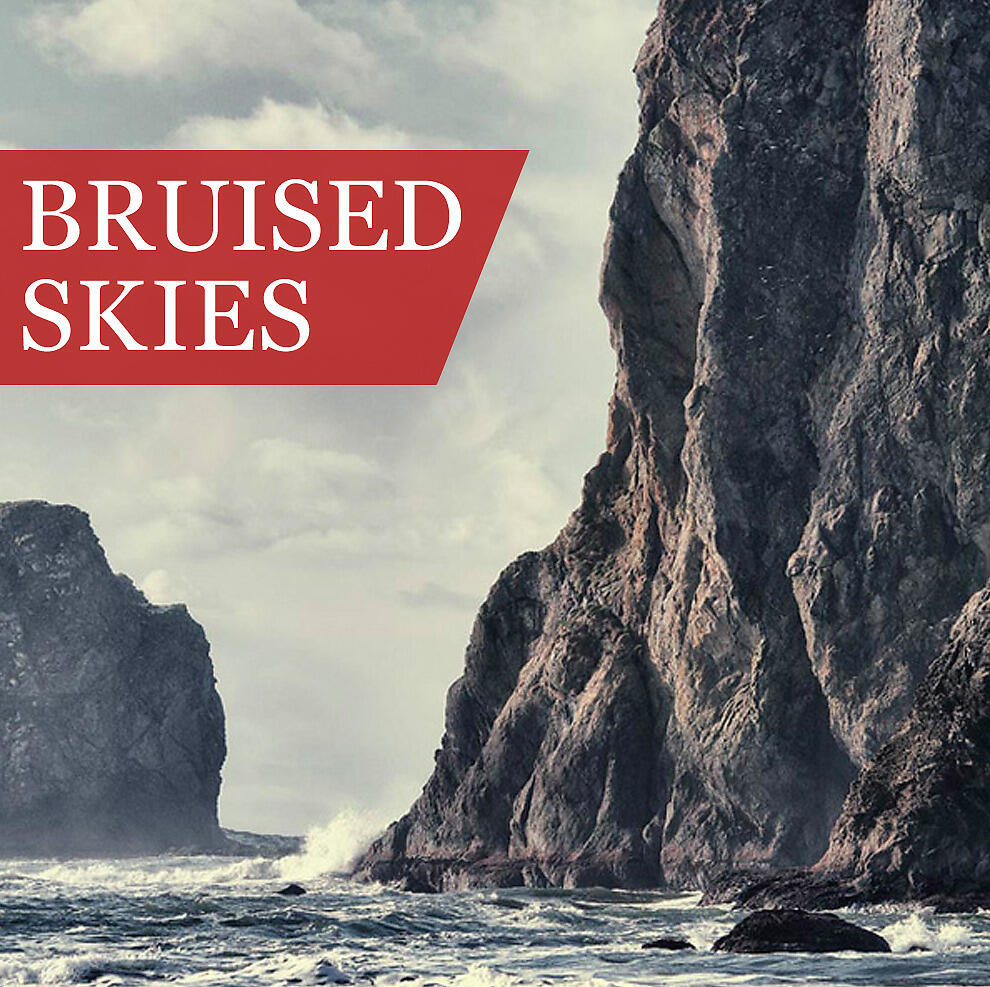 Bruised Skies