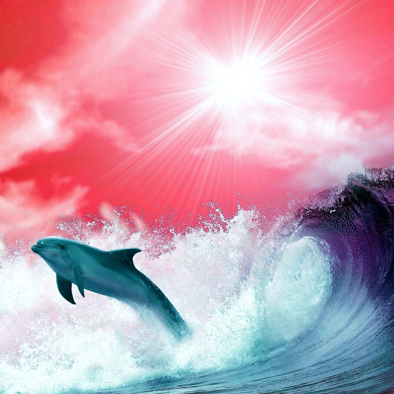 Релиз Rock U Tonite / Stoopid