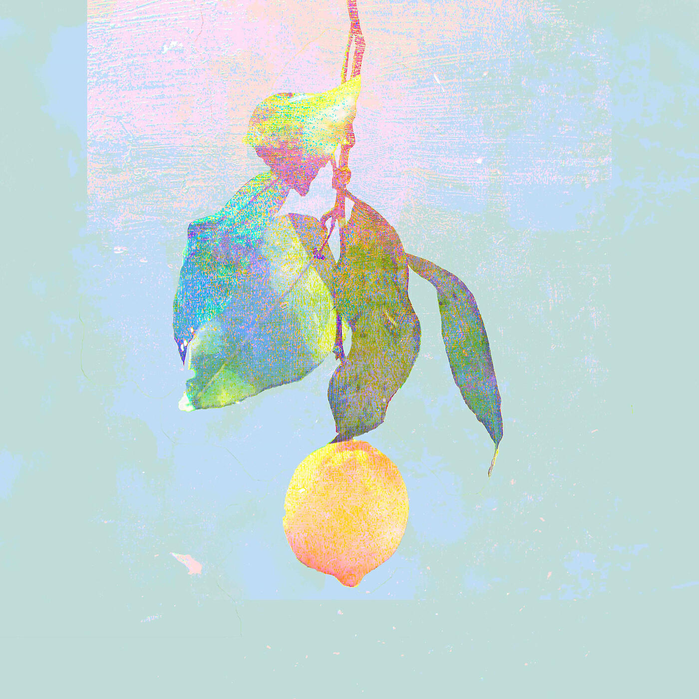 Релиз Lemon