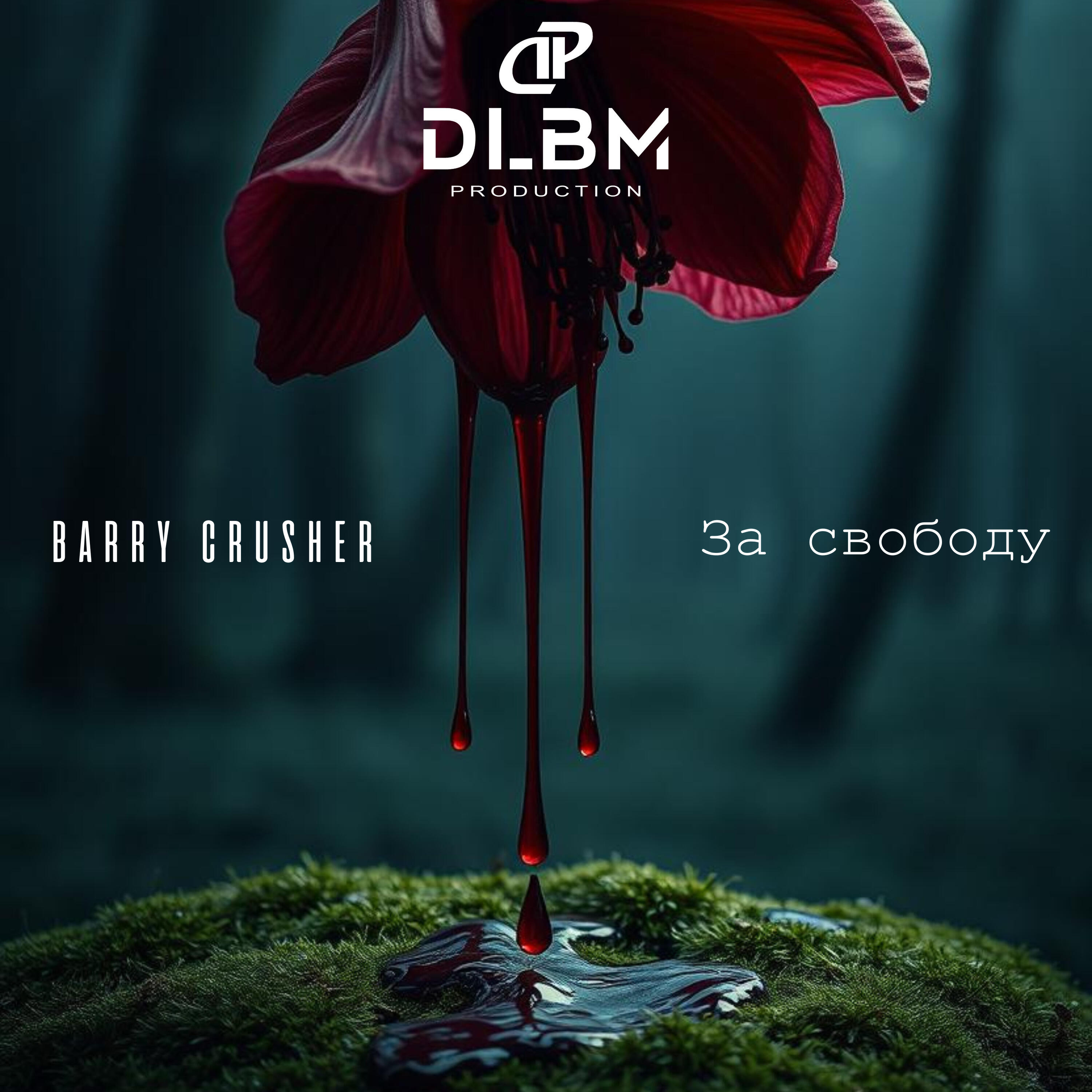 Постер альбома За свободу