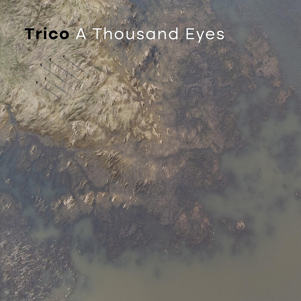 Релиз A Thousand Eyes
