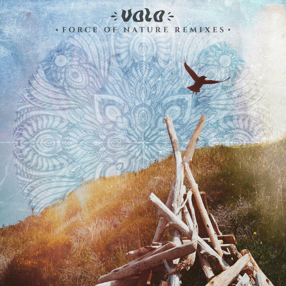 Релиз Force of Nature Remixes