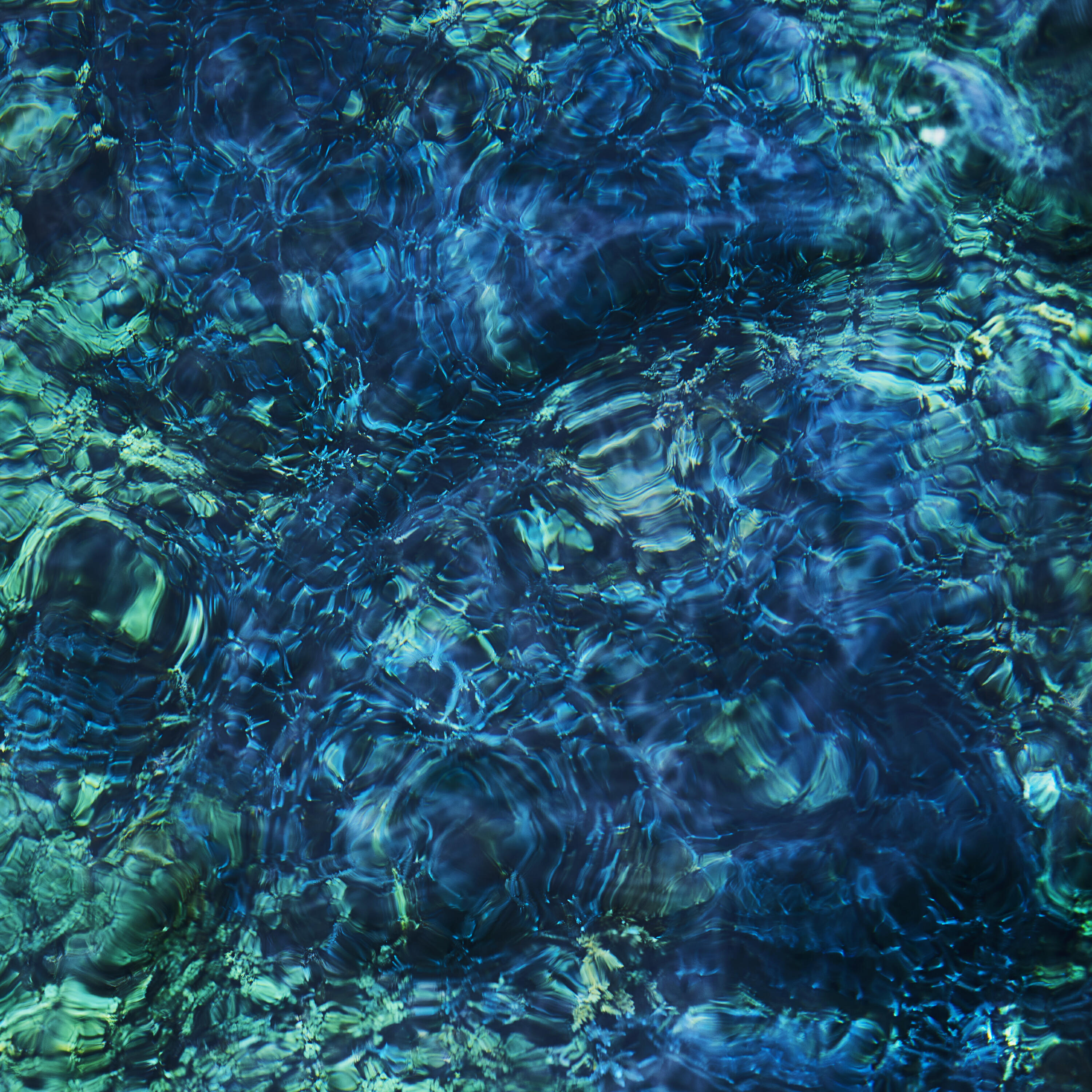 Релиз Luminescent Creatures