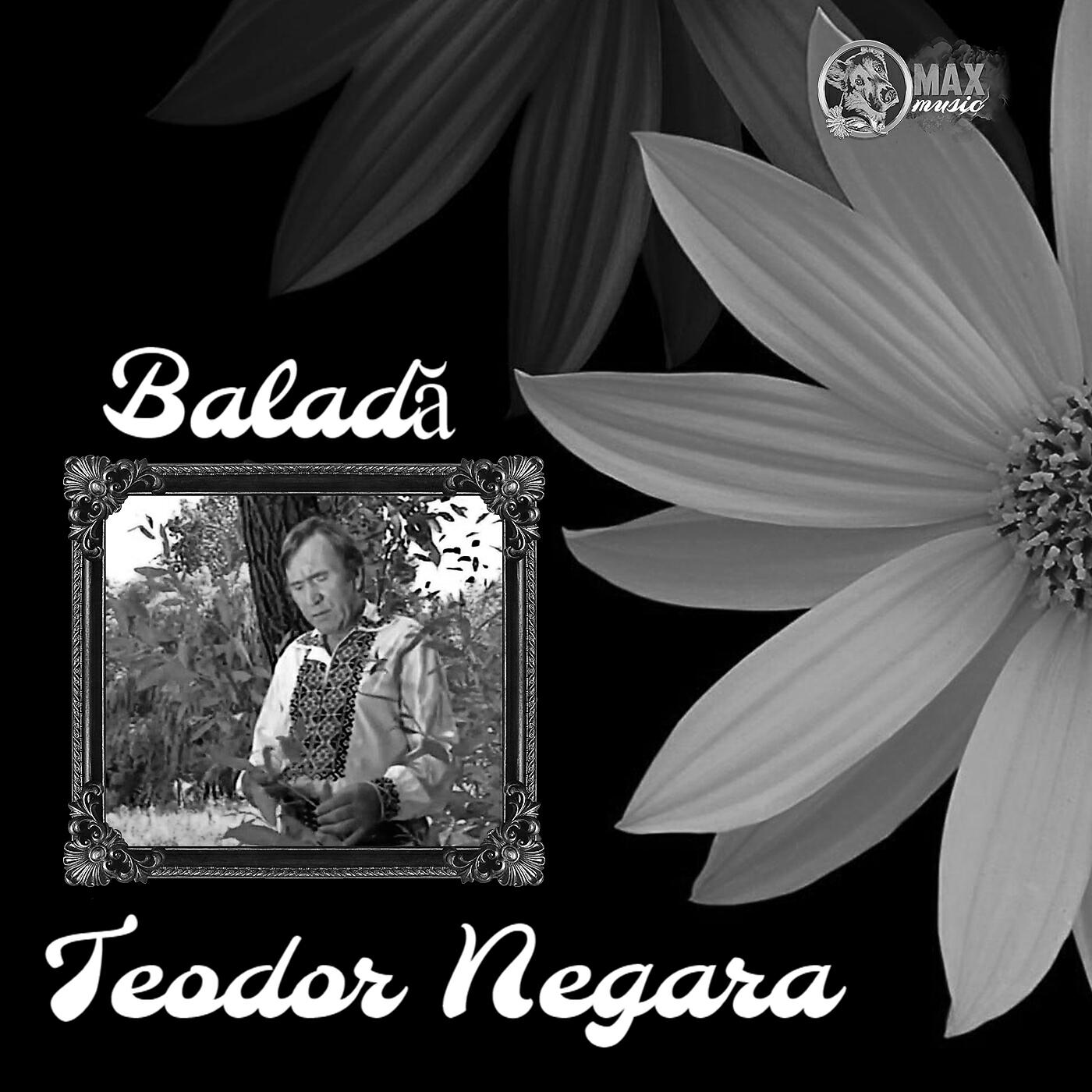 Постер альбома Baladă