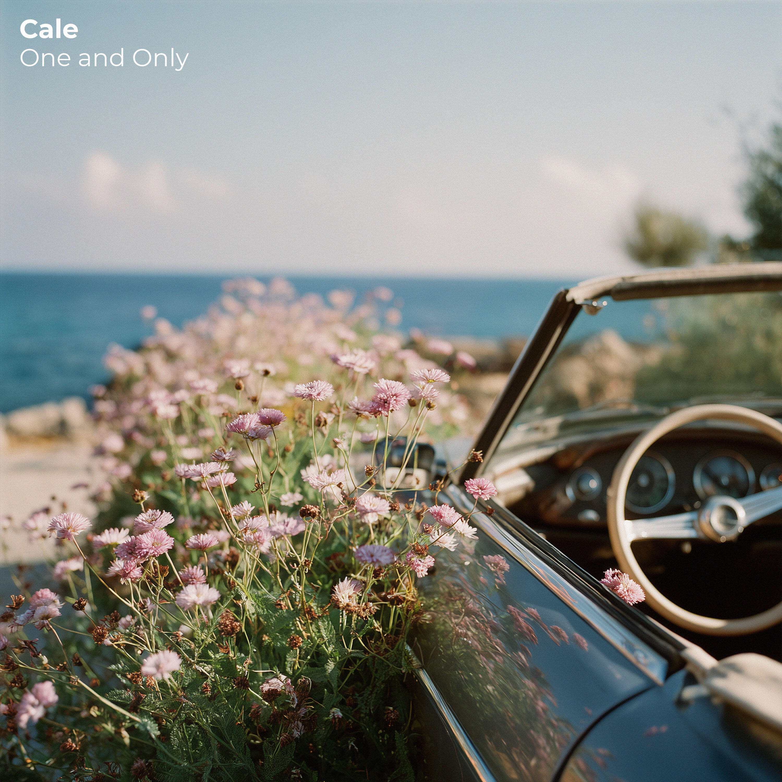 Релиз One And Only