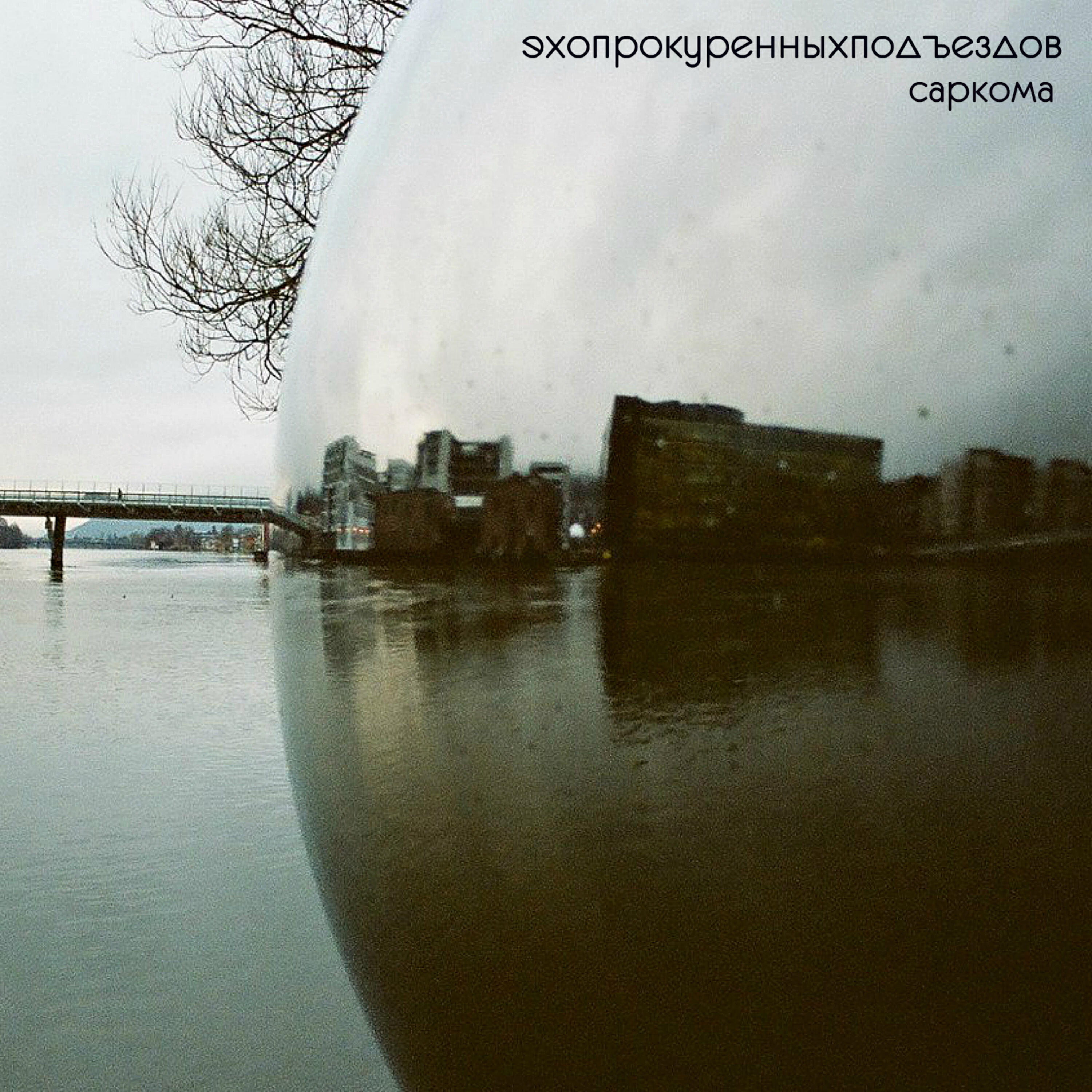 Релиз Саркома