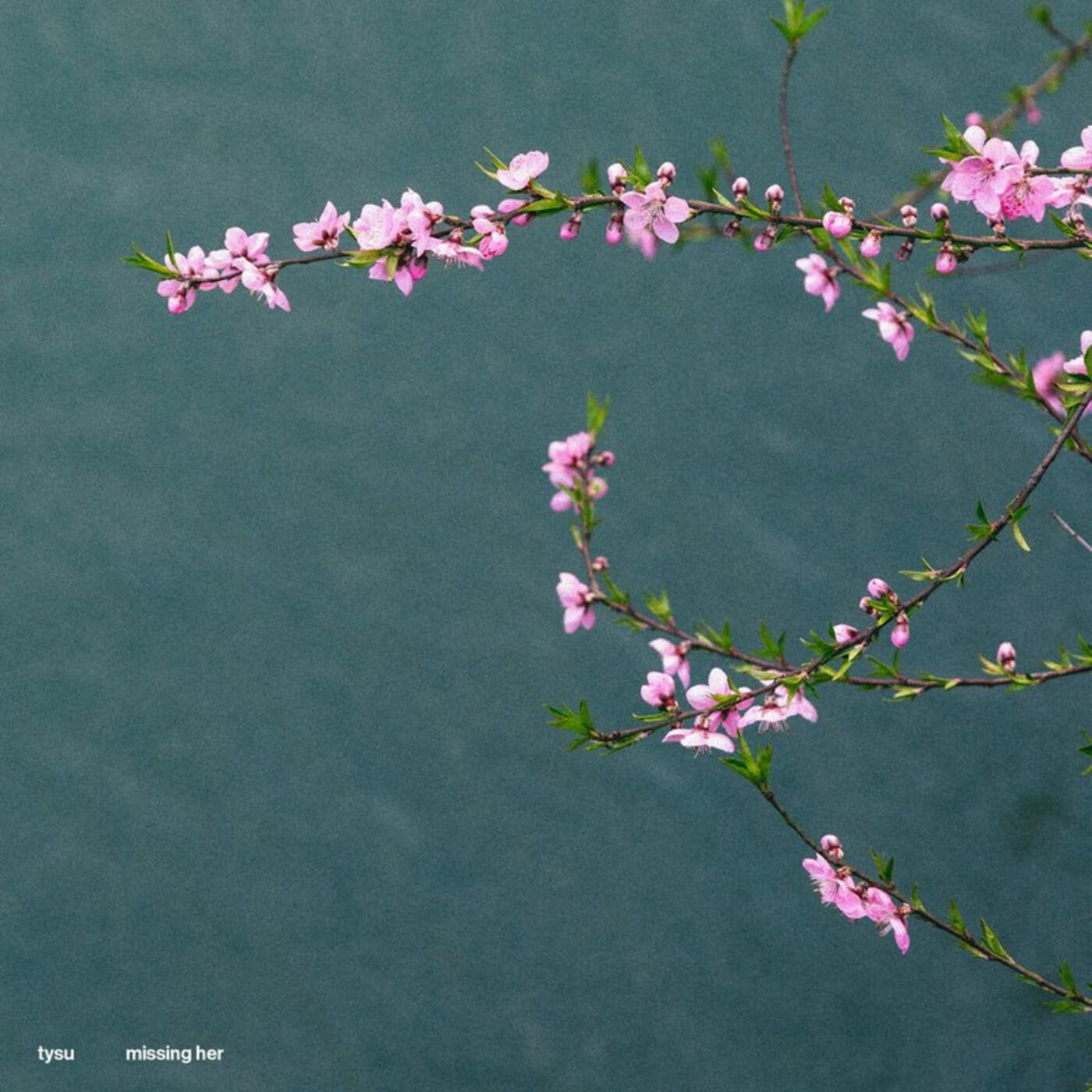 Релиз missing her