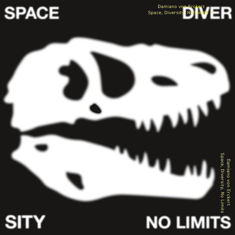 Релиз Space, Diversity, No Limits