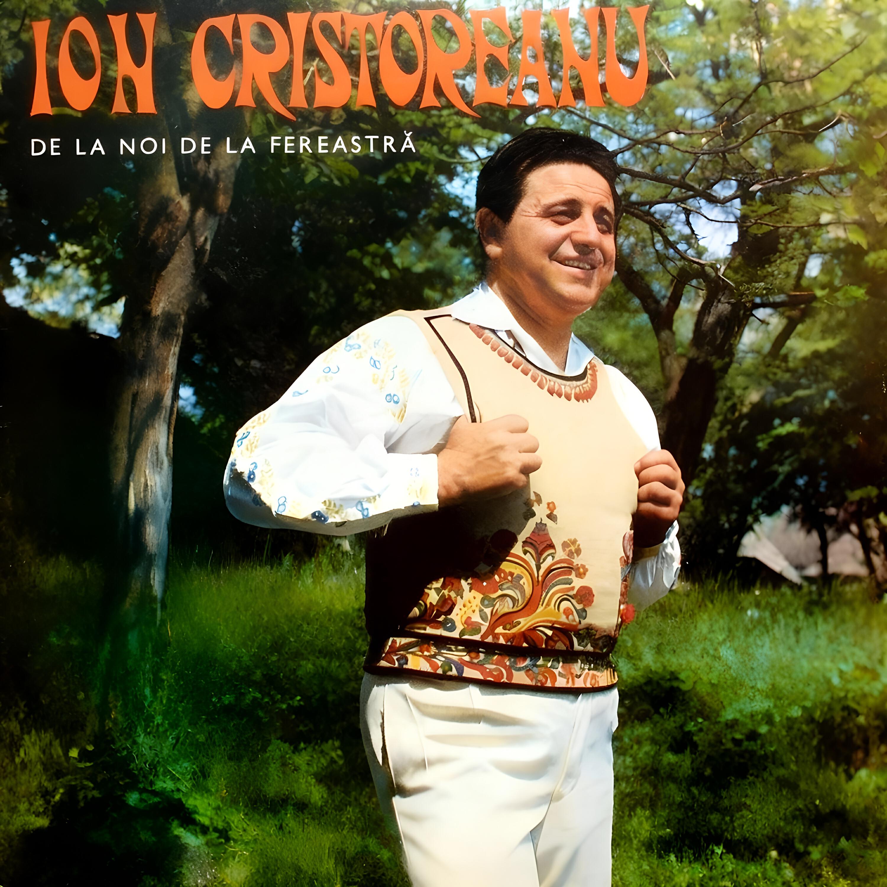 Релиз De La Noi De La Fereastră