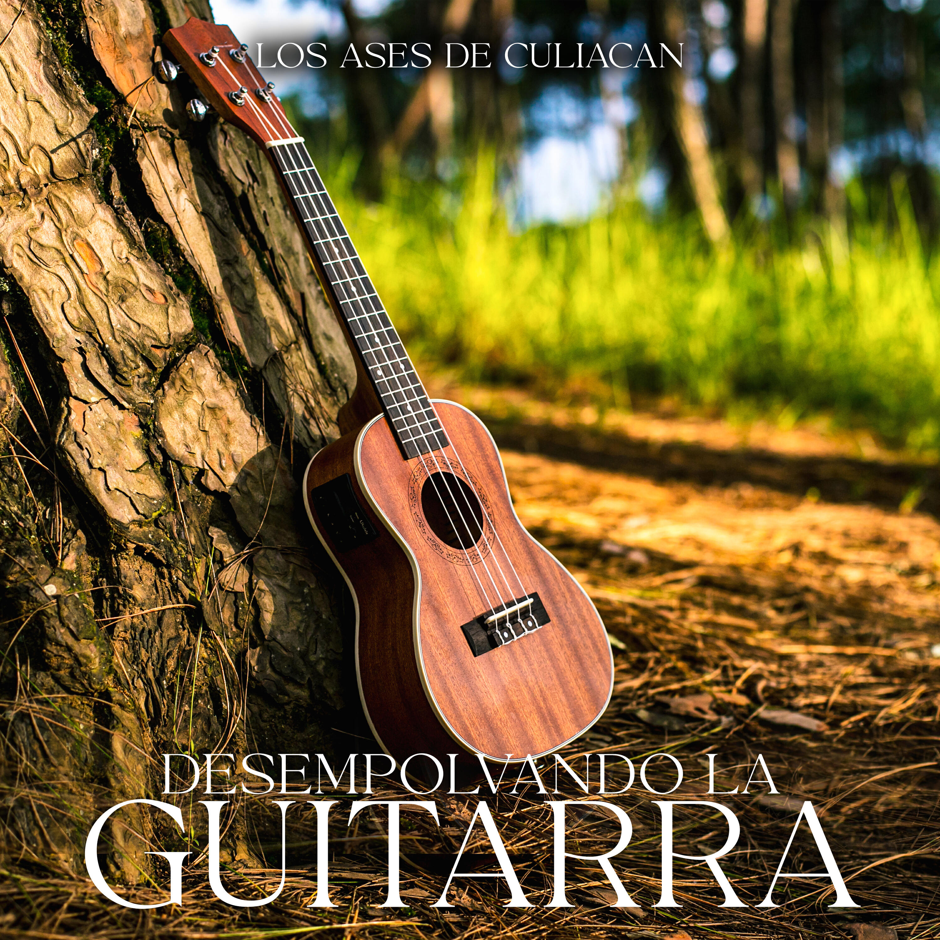 Релиз Desempolvando La Guitarra