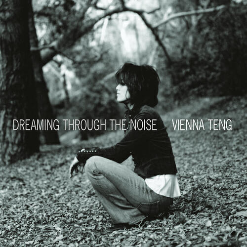 Релиз Dreaming Through The Noise