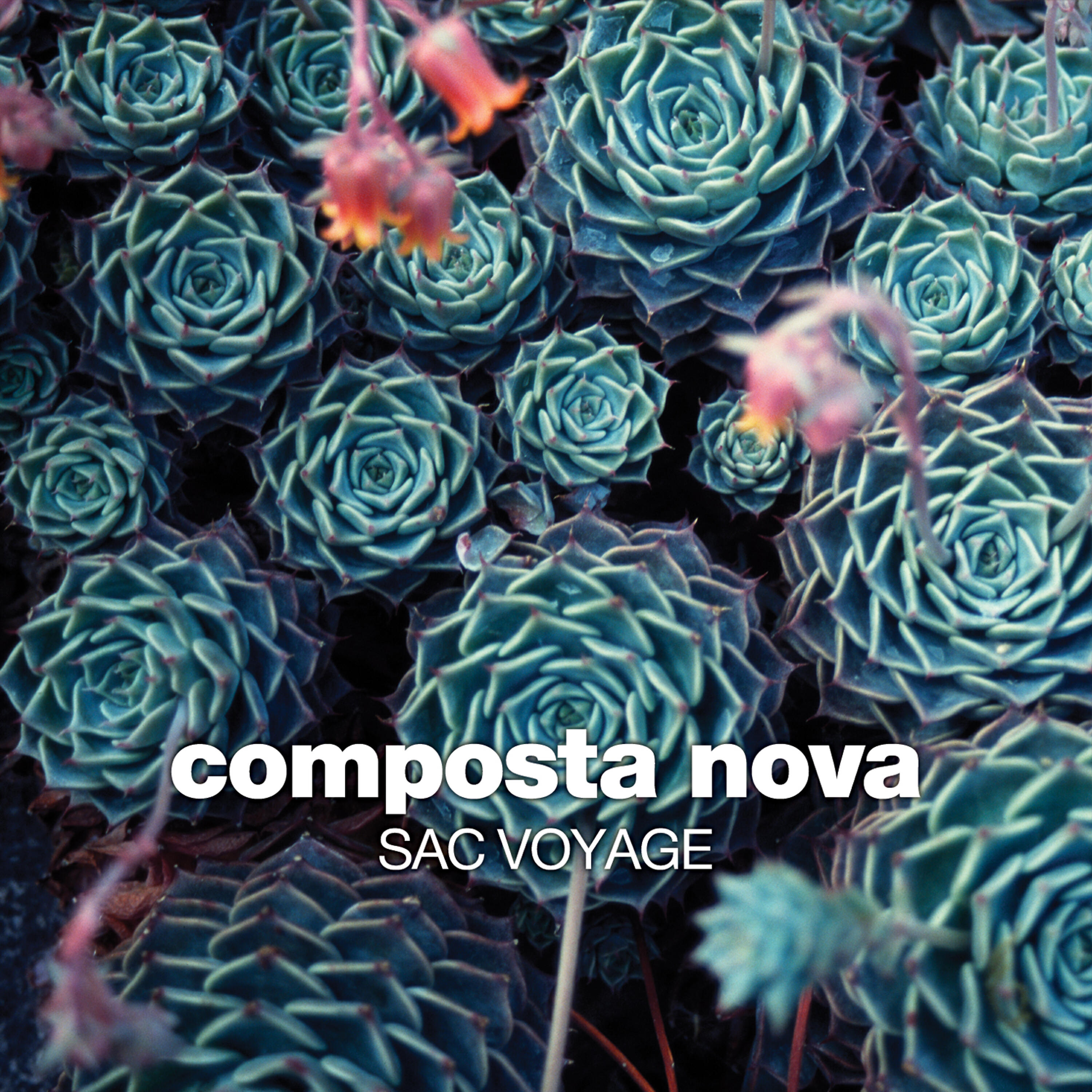 Релиз Sac Voyage