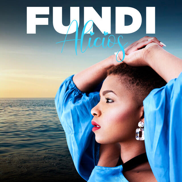 Релиз Fundi