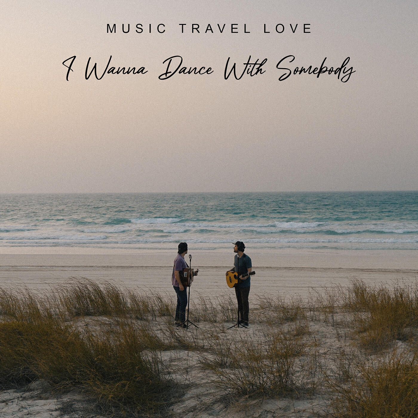 Релиз I Wanna Dance With Somebody