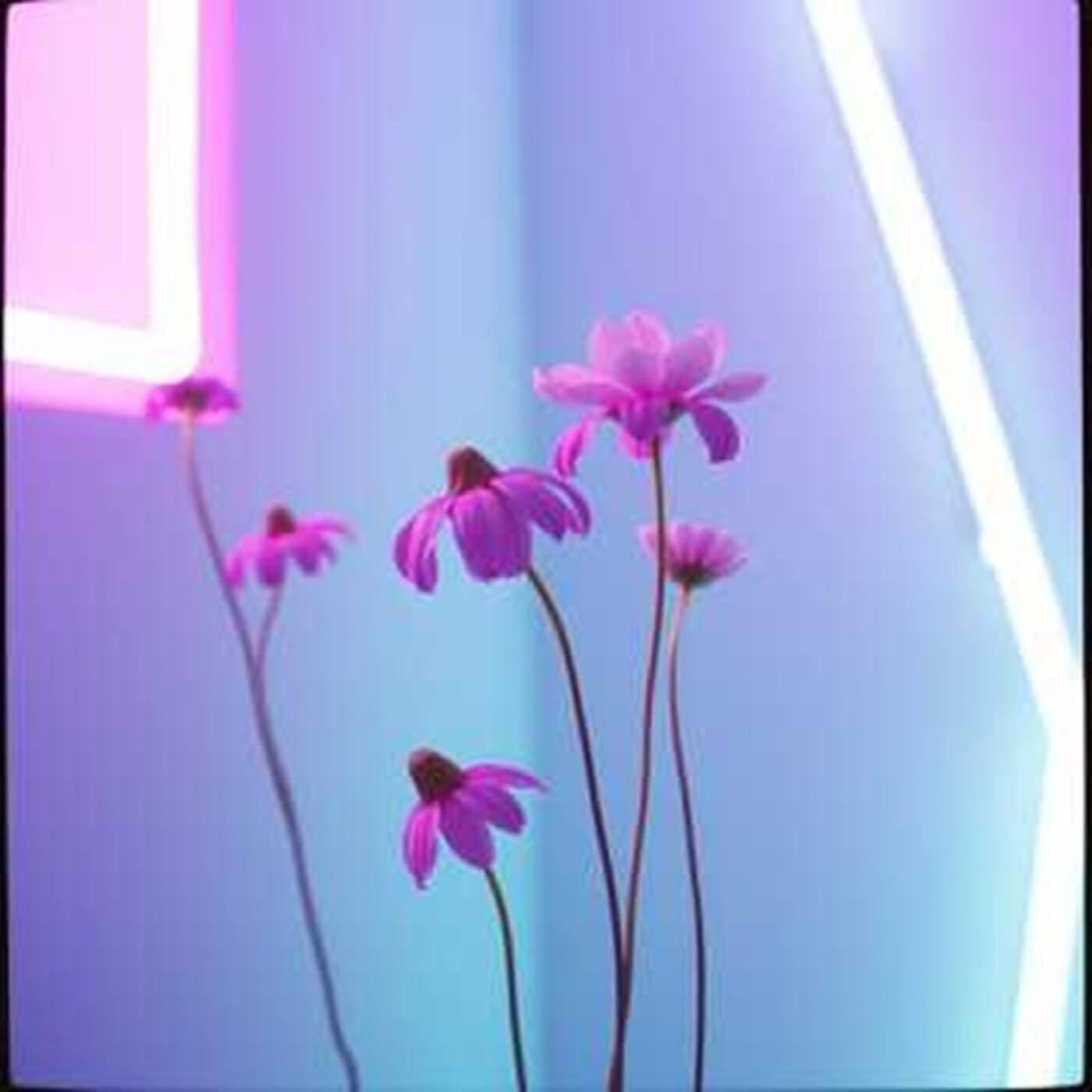 Релиз The Love That You Need