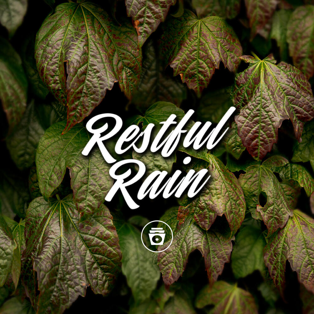 Релиз Restful Rain