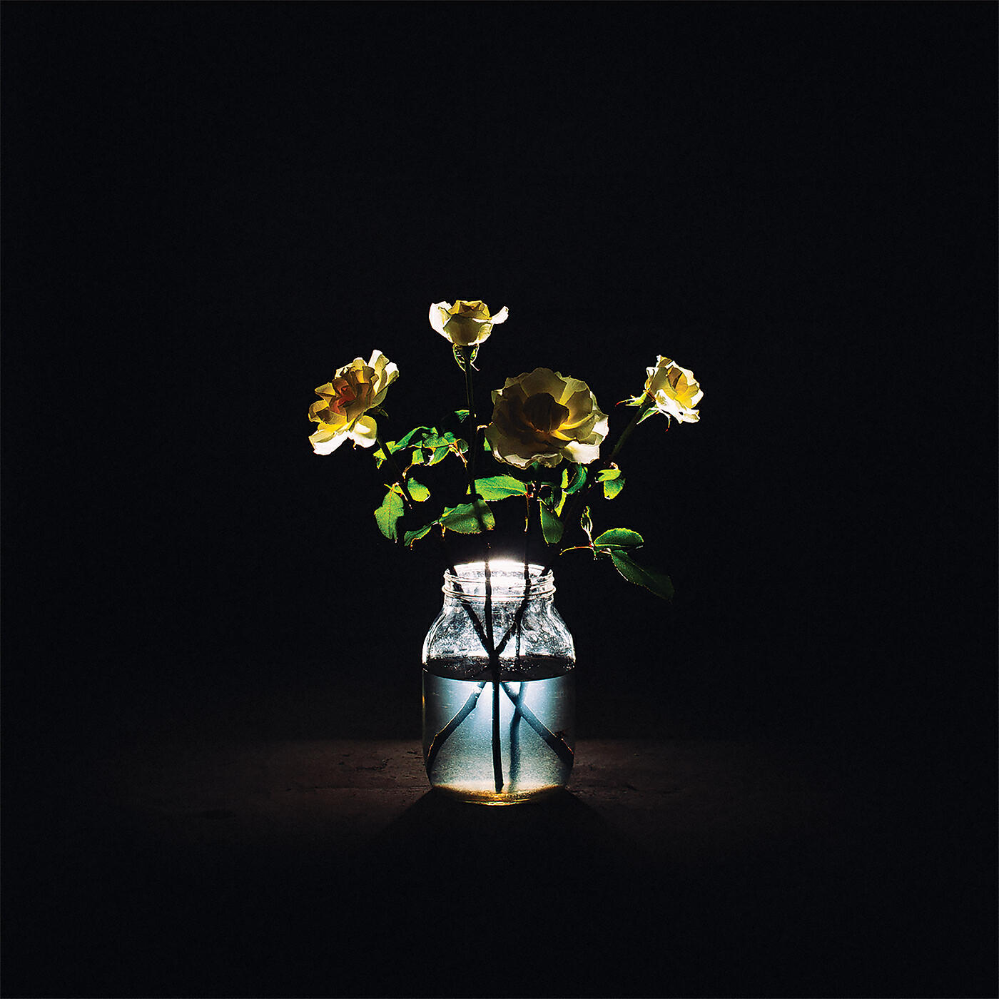 Релиз Renewal