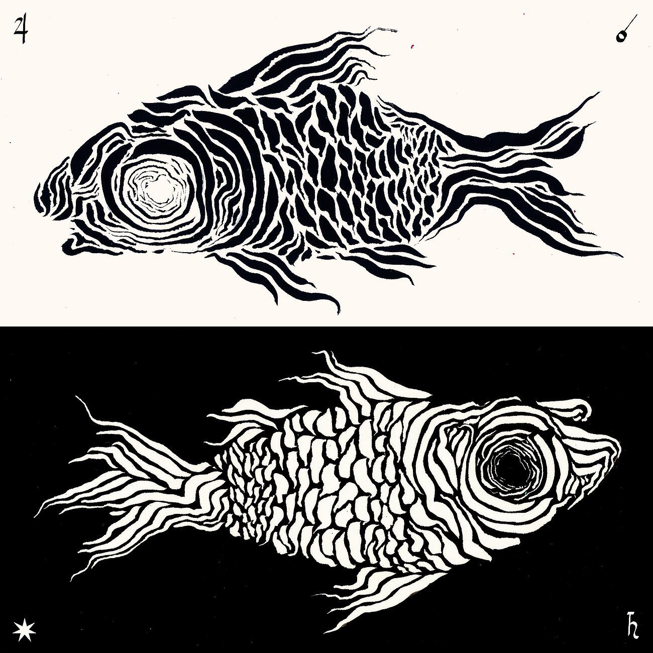 Релиз The Wandering Star