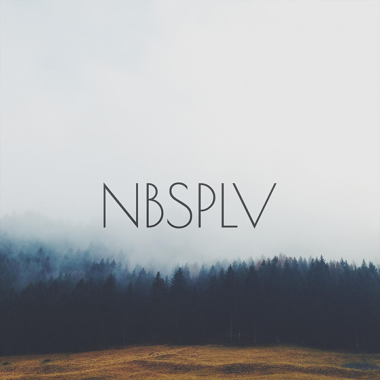 Релиз Swallow
