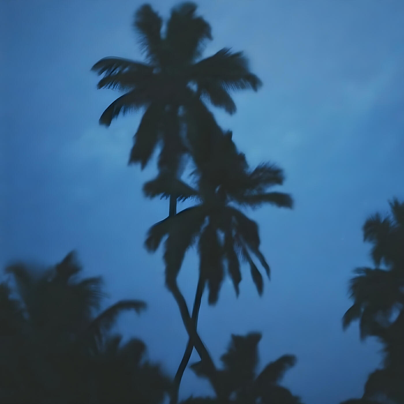 Релиз Island