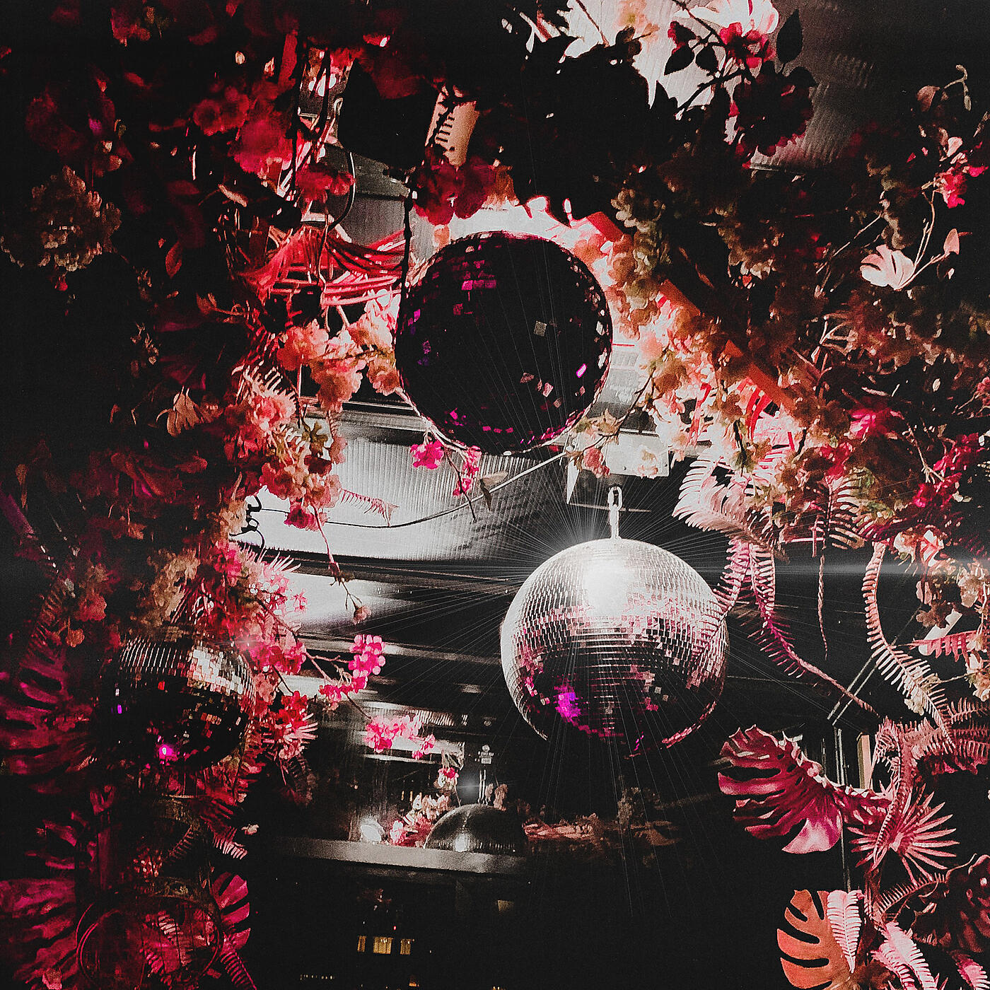 Релиз Tourist / Let This Be Love / Night Life