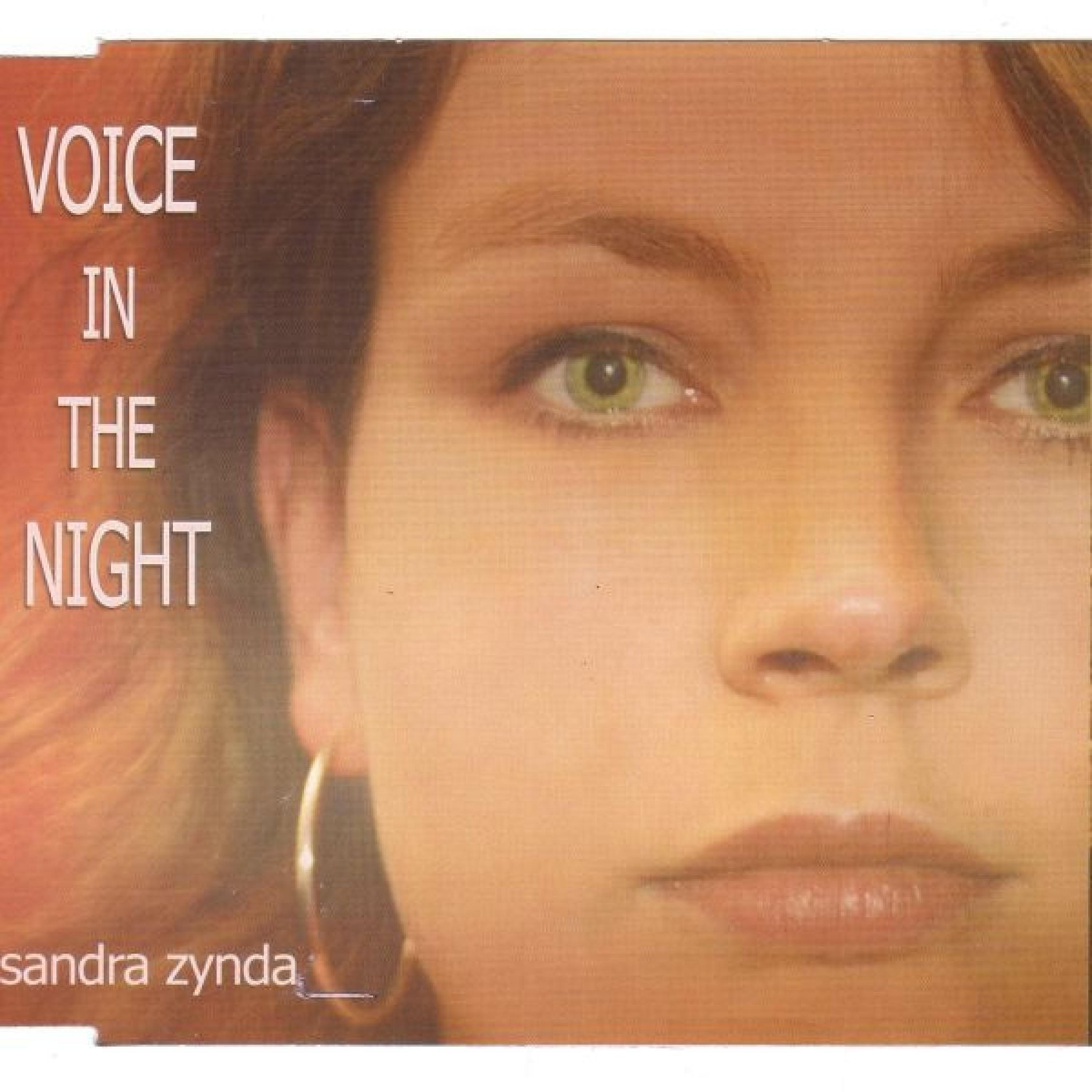 Релиз Voice in the Night