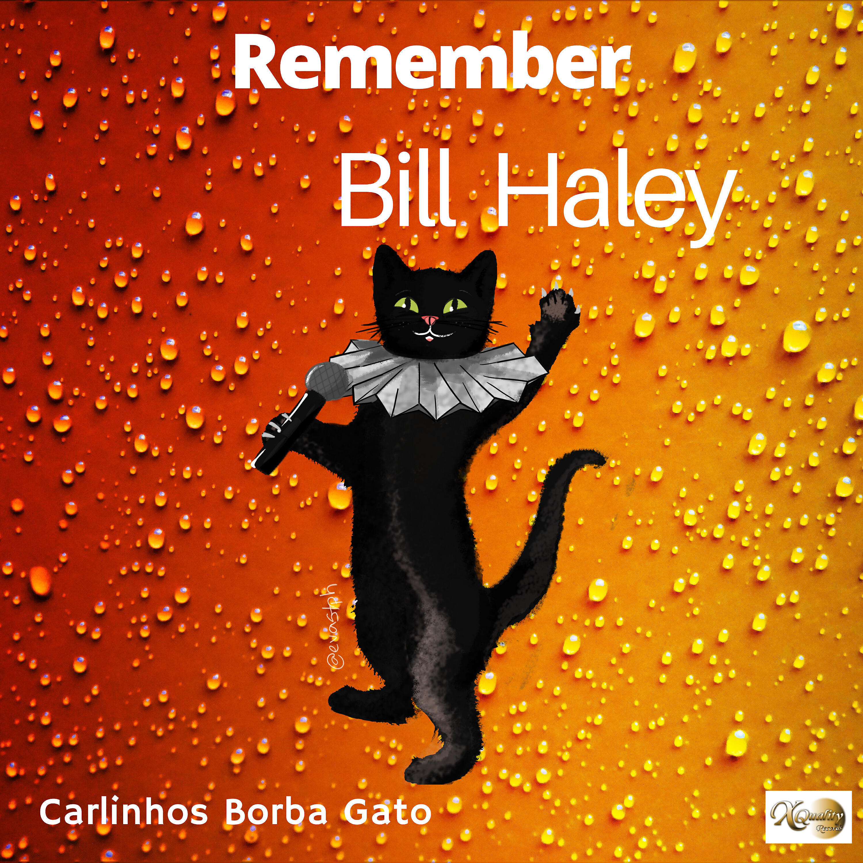 Релиз Remember Bill Haley