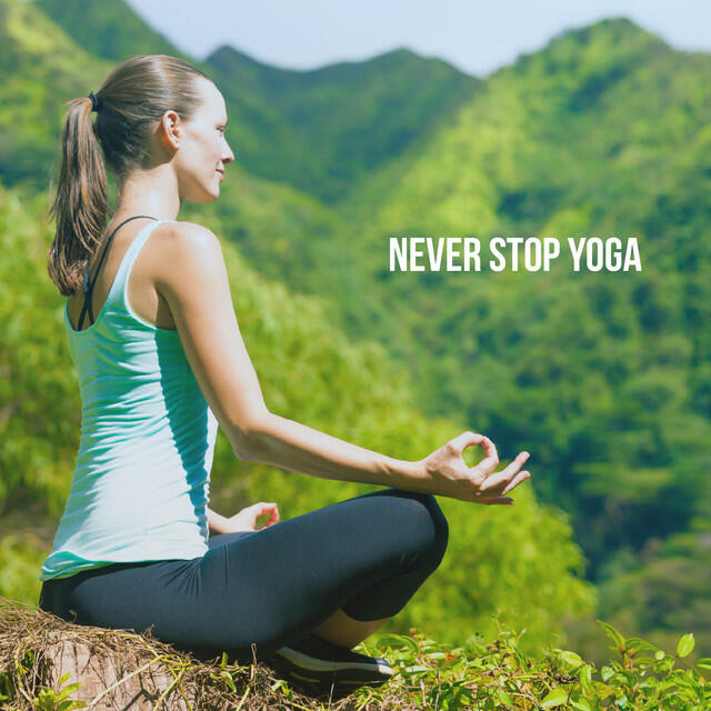 Релиз Never Stop Yoga