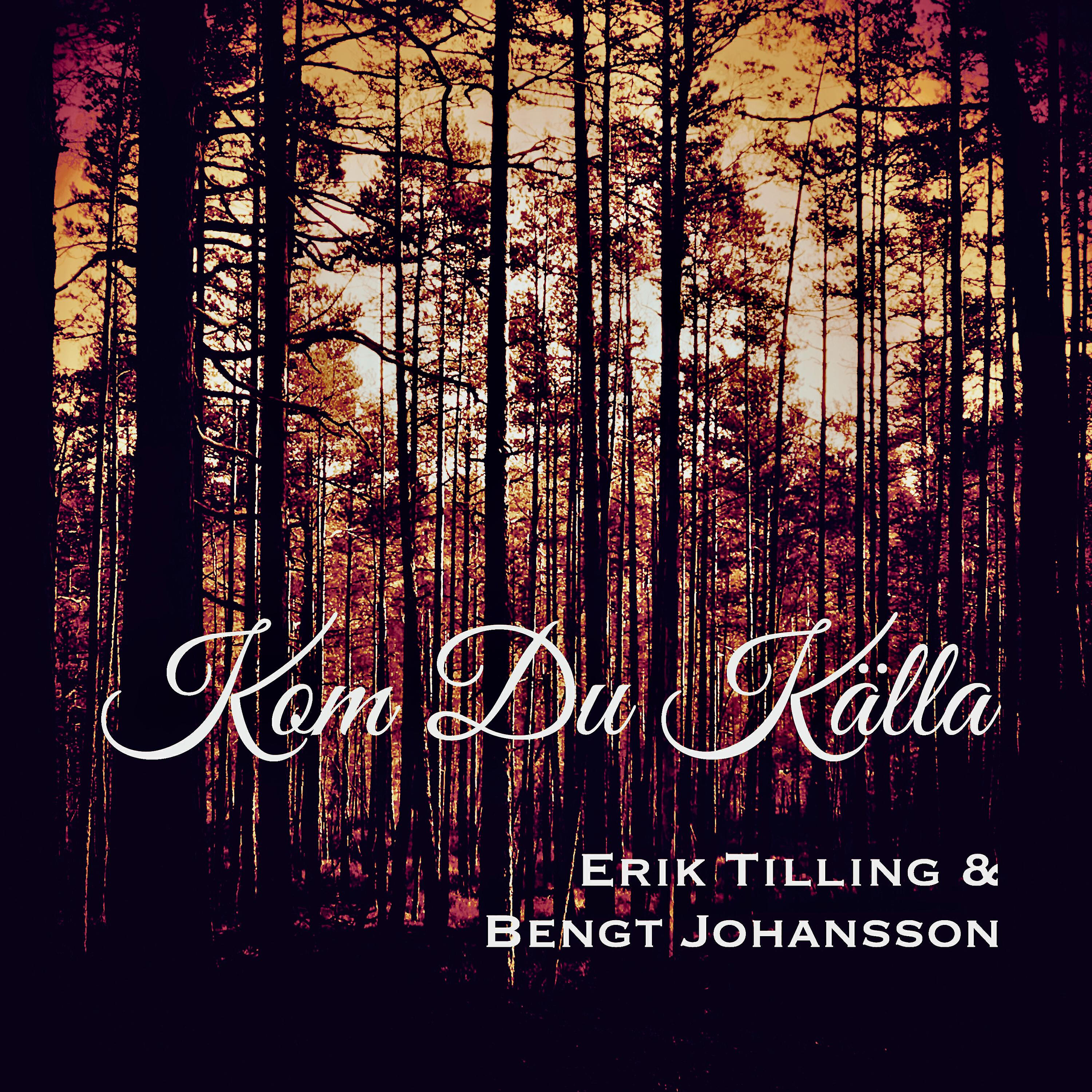 Релиз Kom Du Källa