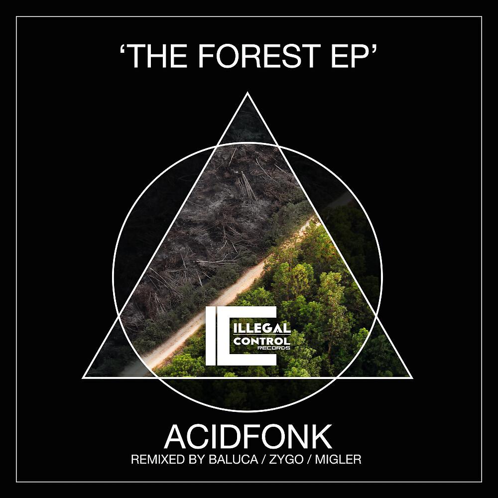 Релиз The Forest