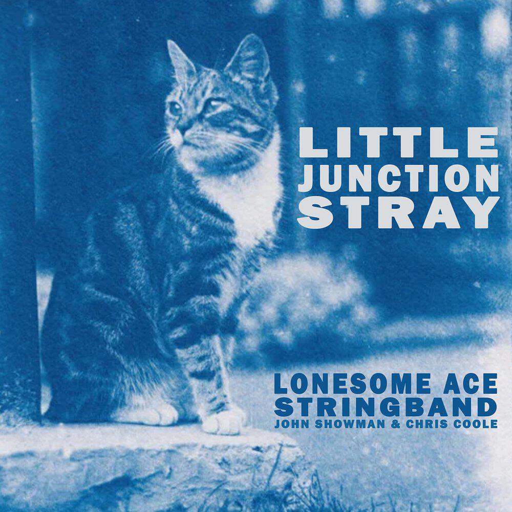 Релиз Little Junction Stray