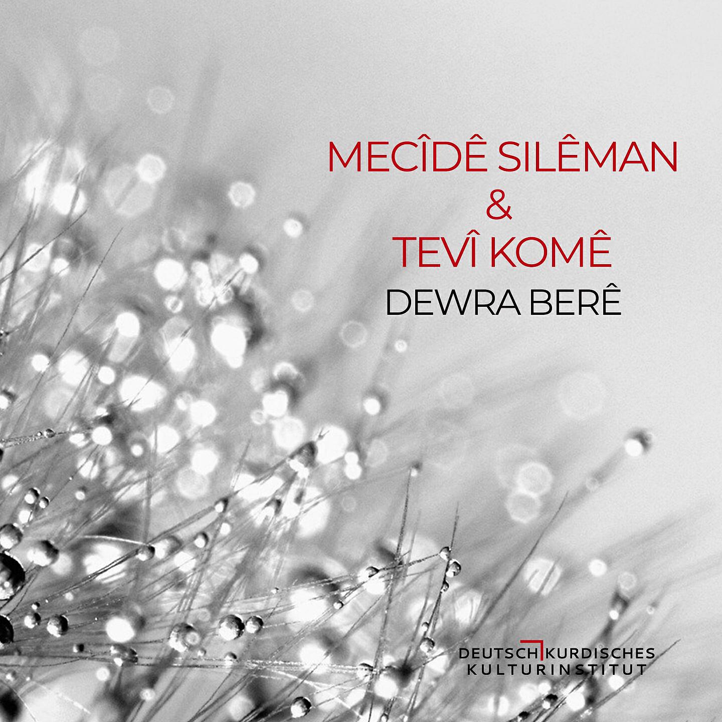 Mecîdê Silêman
