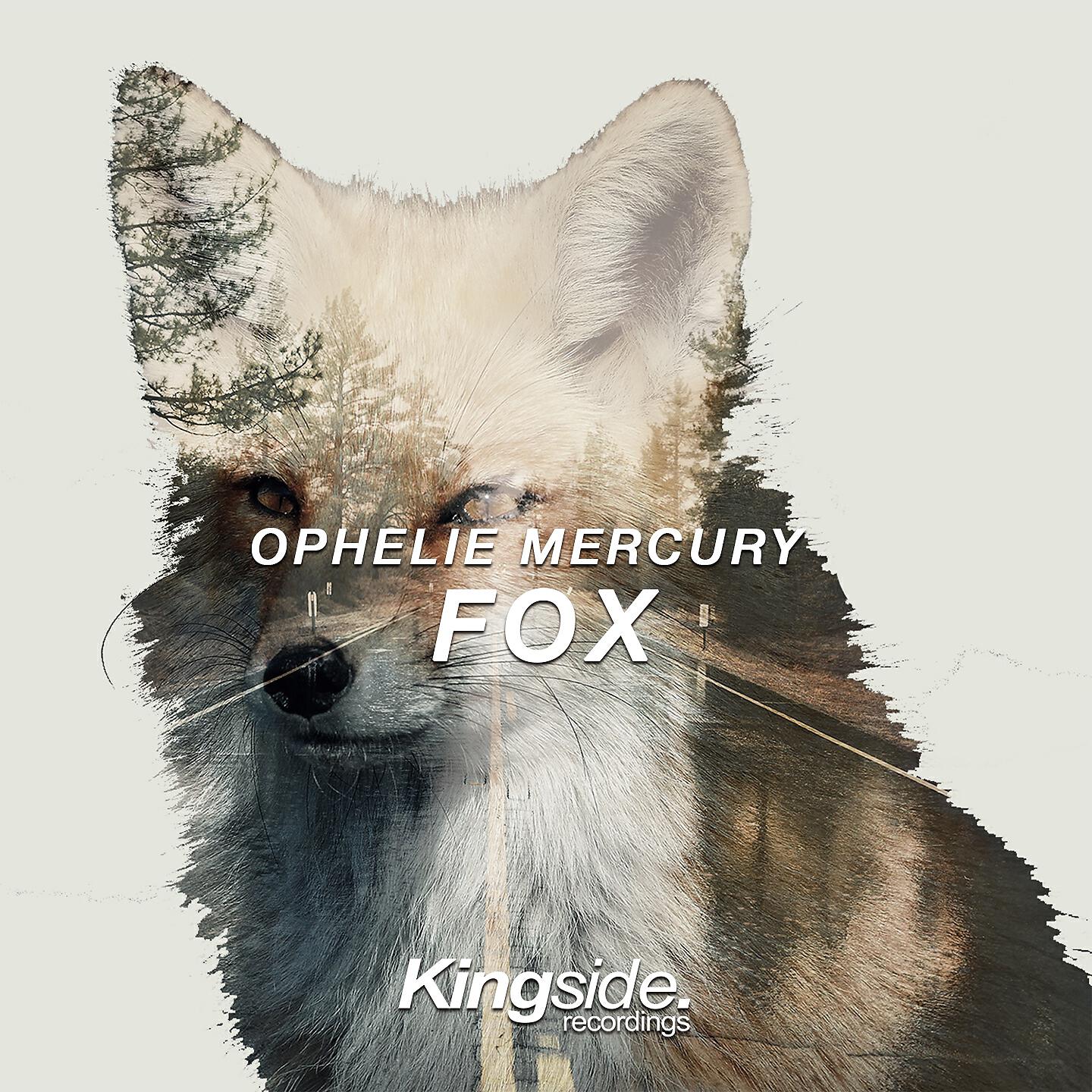 Релиз Fox