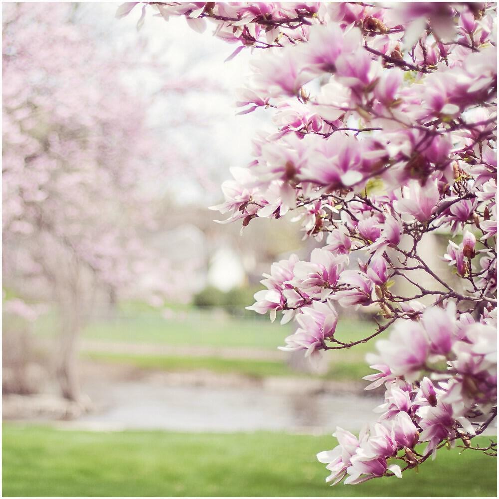 Релиз Relaxation Piano Music, Zen, Study, Sleep, Focus, Therapy, Happy, Serenity