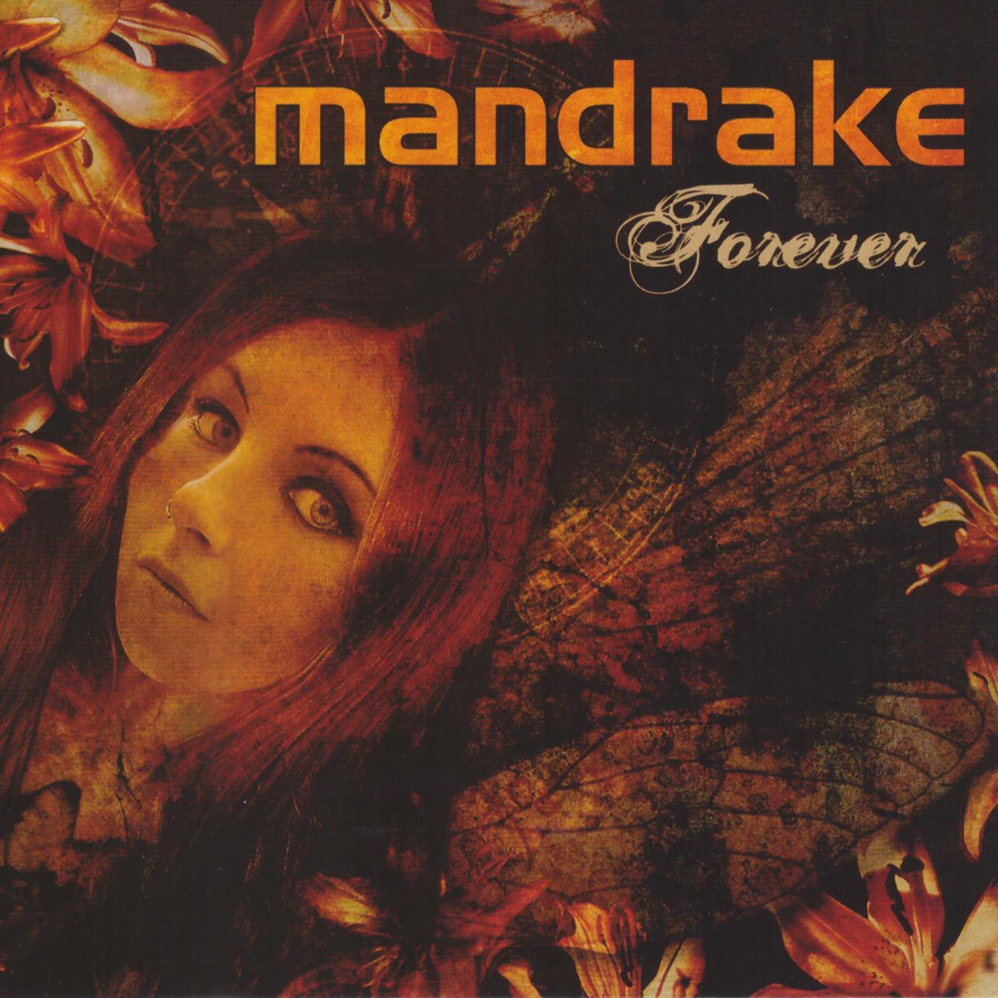 Релиз Forever